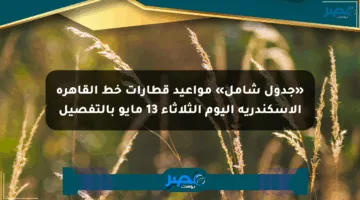 «جدول شامل» مواعيد قطارات خط القاهرة الإسكندرية اليوم الثلاثاء 13 مايو بالتفصيل